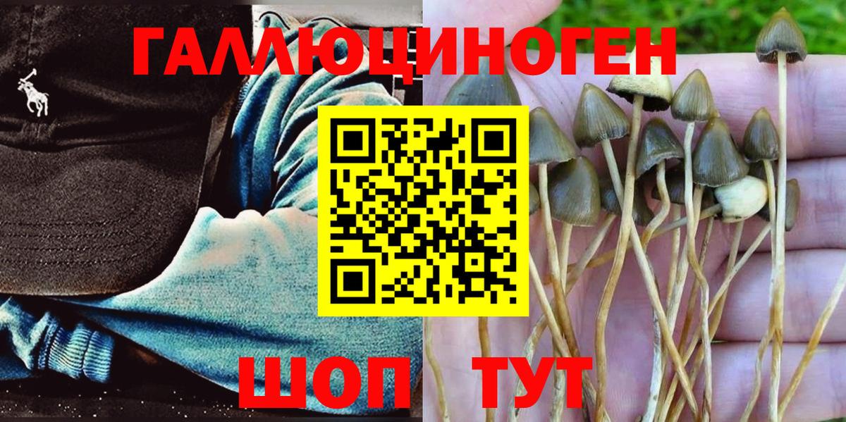 Псилоцибиновые грибы ЛСД  Вход с VPN  Георгиевск 